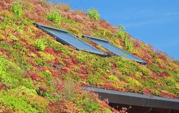 Cressex living roof systems
